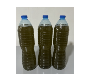 Lebanese Pure Olive oil 1.5 Liters