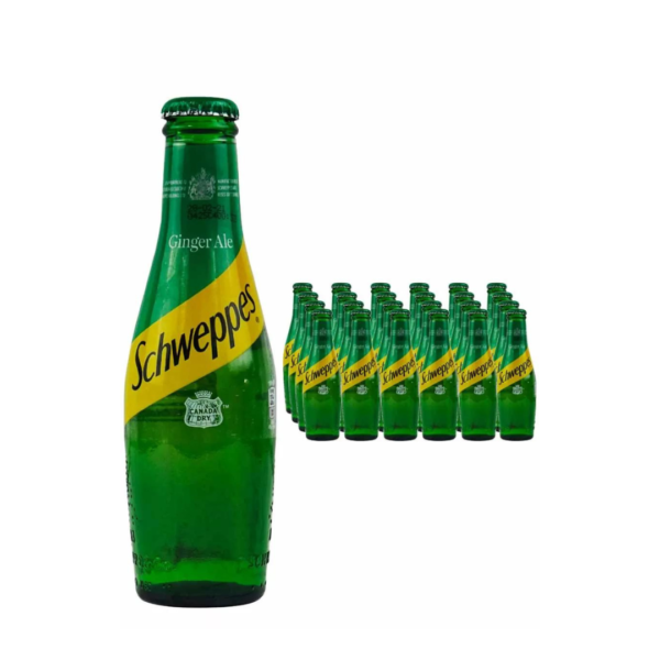 schweppes  ginger ale 200ml