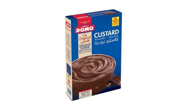 Domo chocolate custard 200g box